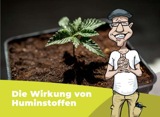 Was bringen Huminstoffe? - Was bringen Huminstoffe?