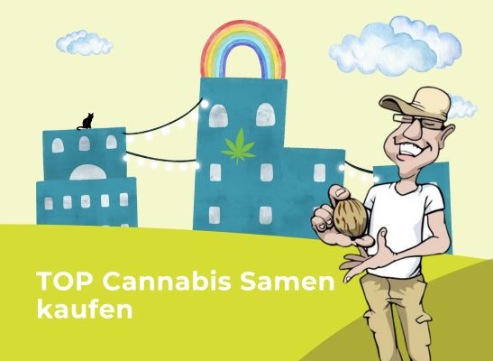 TOP Cannabis Samen kaufen - Paradise Seeds & mehr: Cannabis Samen online bestellen