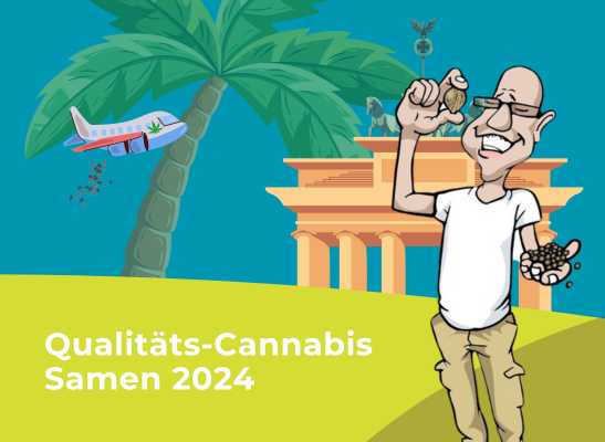 Qualitäts-Cannabis Samen 2024 - Hanf Samen: Vielfalt für Ihr Homegrow | Dirk\'s Seedshop