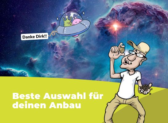 Cannabis Samen: Beste Auswahl für Deinen Anbau - Cannabis Samen: Arten, Anbau & rechtliche Infos | Dirks Seedshop