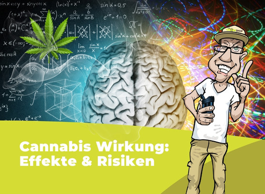 Cannabis Wirkung: Effekte und Risiken im Überblick - Cannabis Wirkung: THC, CBD & Co. im Überblick