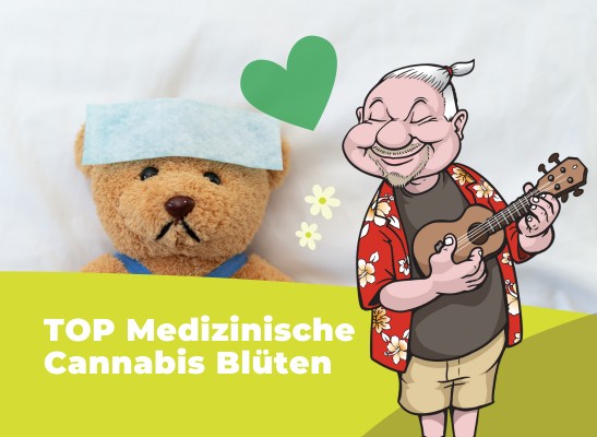 TOP Medizinische Cannabis Blüten: Eine Übersicht für Patienten - Medizinische Cannabis Sorten: Cannabinoide aus der Apotheke