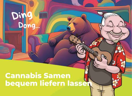 Cannabis Samen kaufen | Dirks Seedshop Qualität - Cannabis Samen kaufen | Dirks Seedshop Qualität