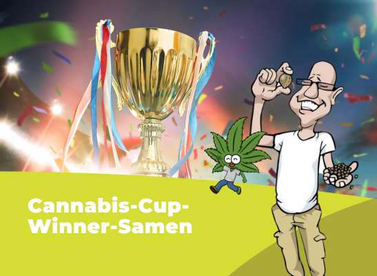 Cannabis Cup Winner Samen: Die besten Sorten und Wettbewerbe im Überblick - Preisgekrönte Genetiken: die besten Cannabis Seeds, Seedbanken und Grower