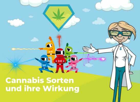 Mrs. X erklaert Cannabis-Wirkungen