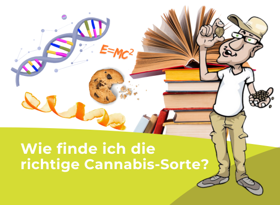 Cannabis Sorten mit THC und CBD