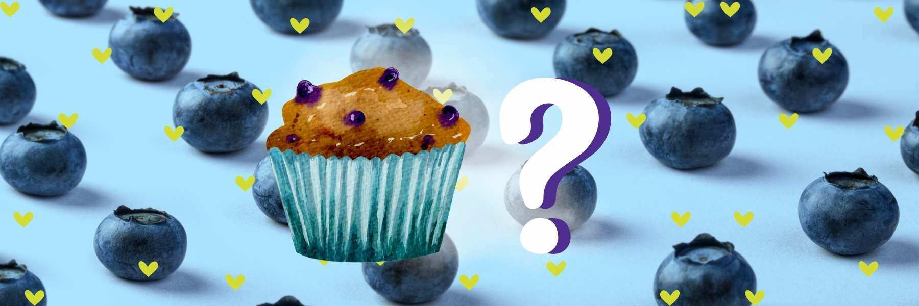 Blaubeermuffin Sorte süss und aromatisch