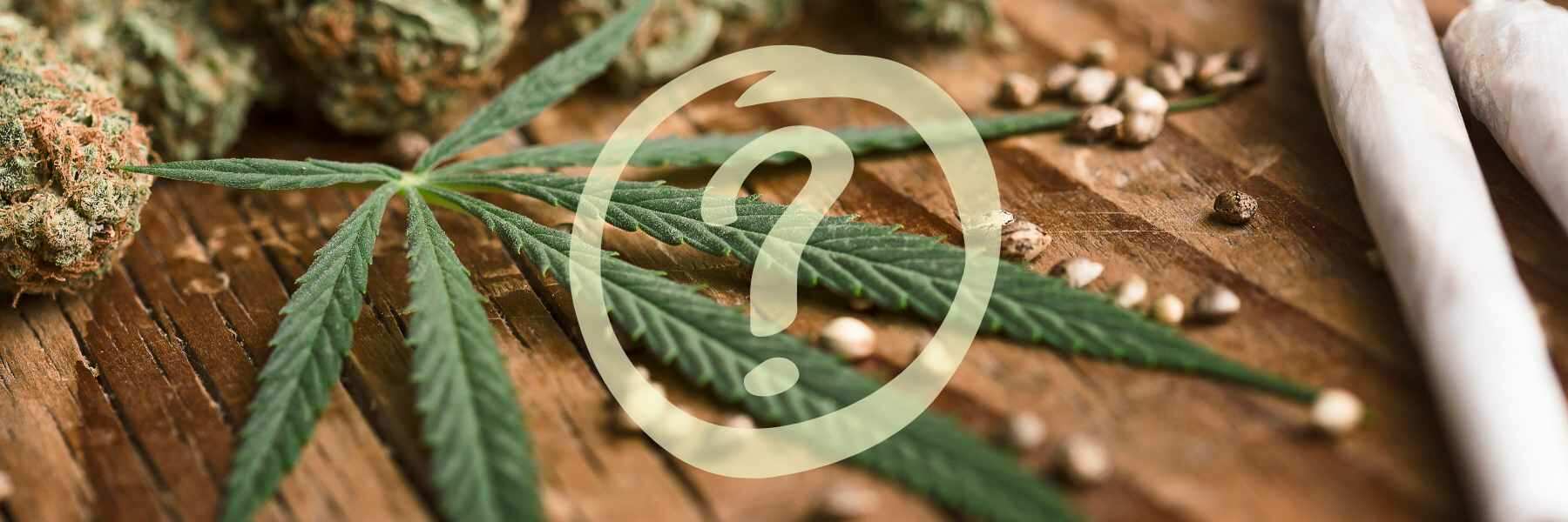 Cannabistherapie ist eine Frage der Erkrankung