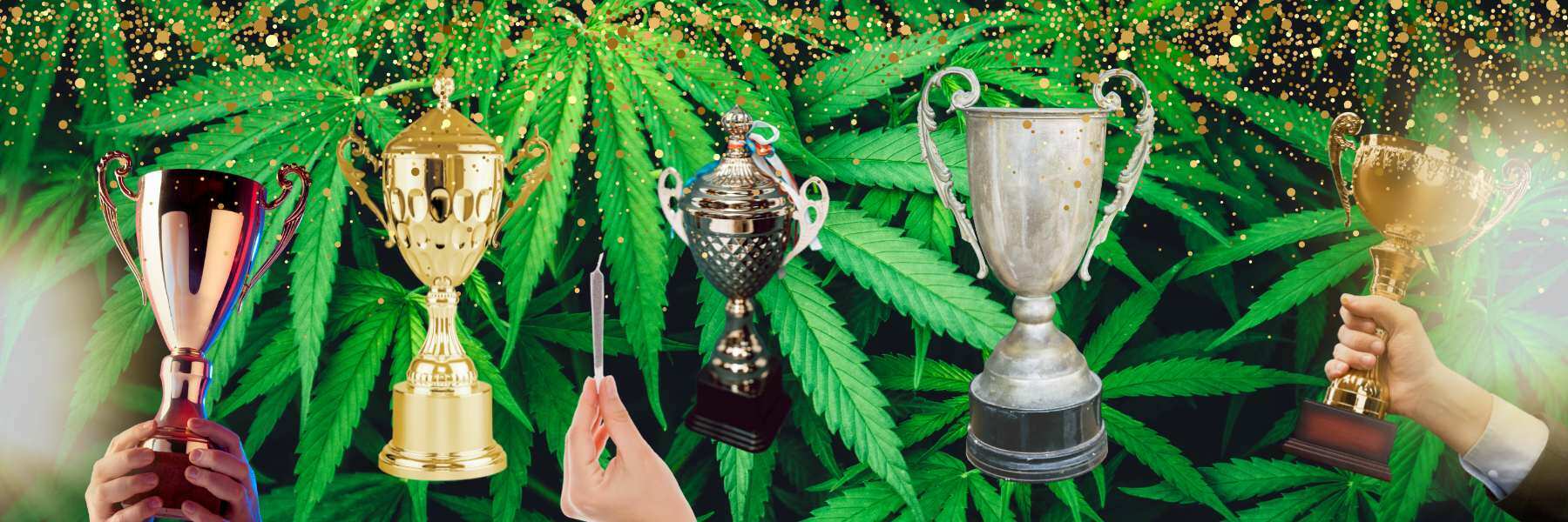 cannabis cup winner trophäen