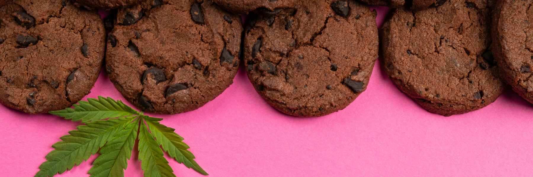 Cannabis-Edibles: Orale Einnahme mit längerer Wirkungsdauer