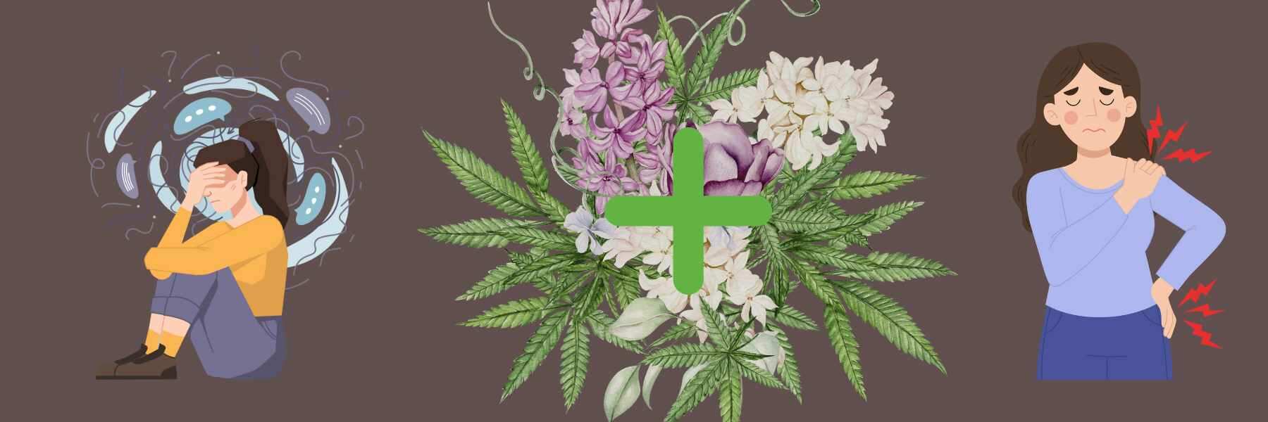 Cannabis in der Schmerztherapie: Anwendungsbeispiele