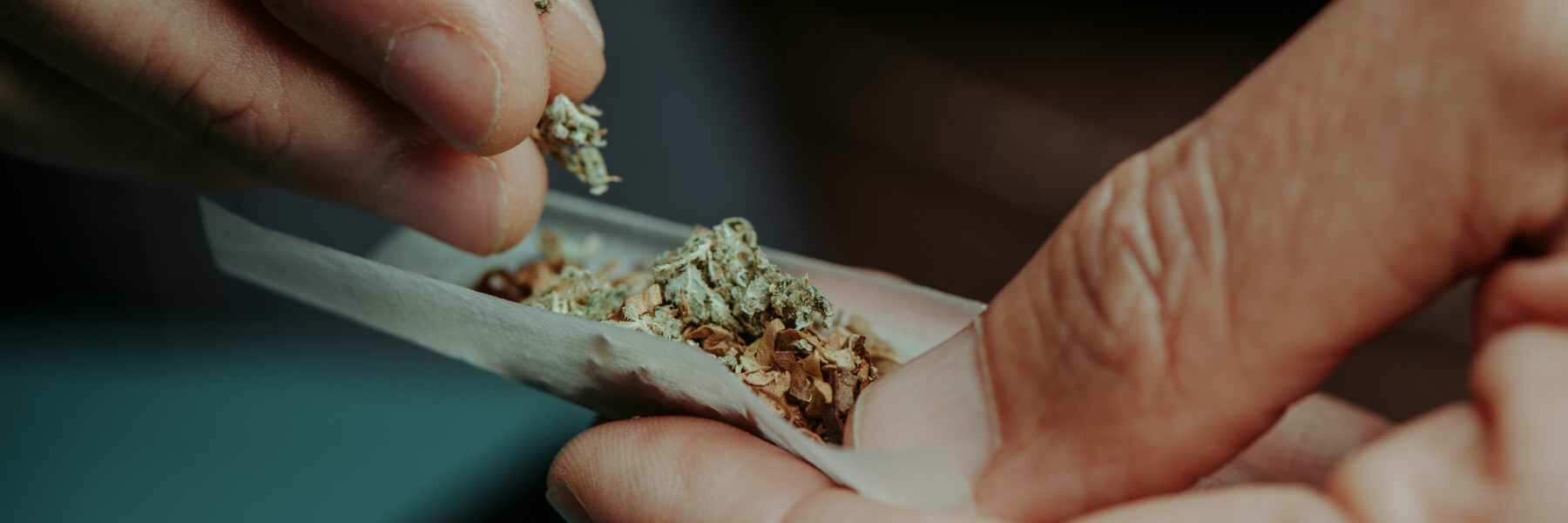 Joint rollen: Klassische Methode des Cannabiskonsums