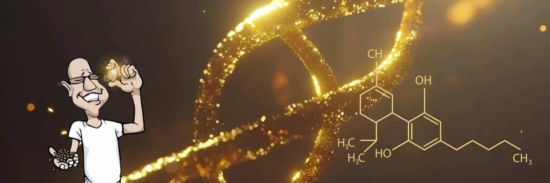 Samen aussuchen: Die beste Genetik