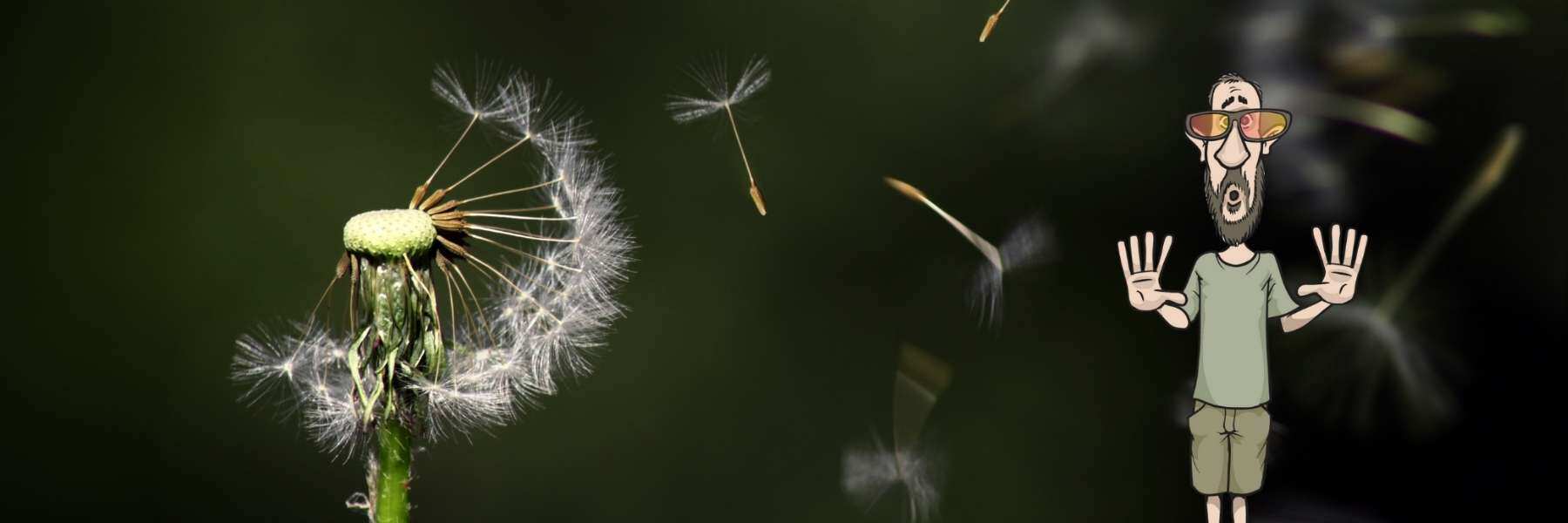 eigenanbau drinnen oder im garten