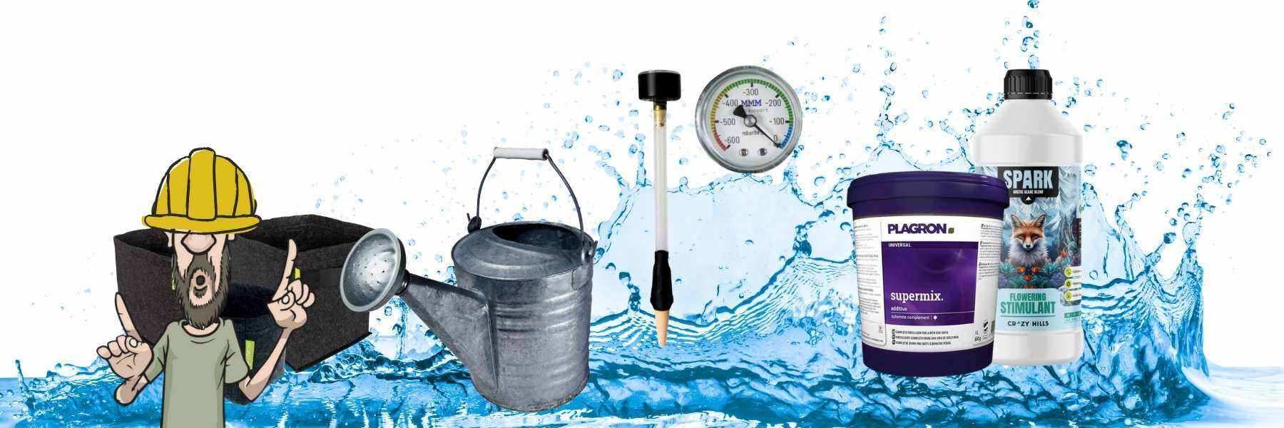 Wie giesst man richtig?