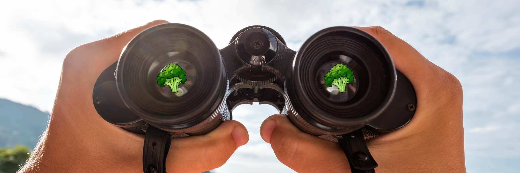 Wann ist meine Pflanze fertig?