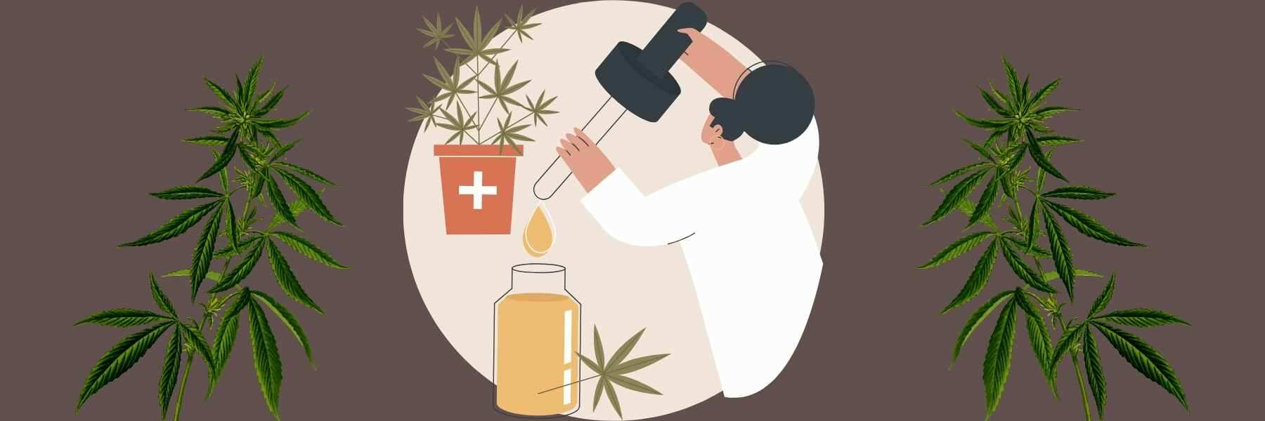 CBD-reiche Cannabis Samen für medizinische Zwecke