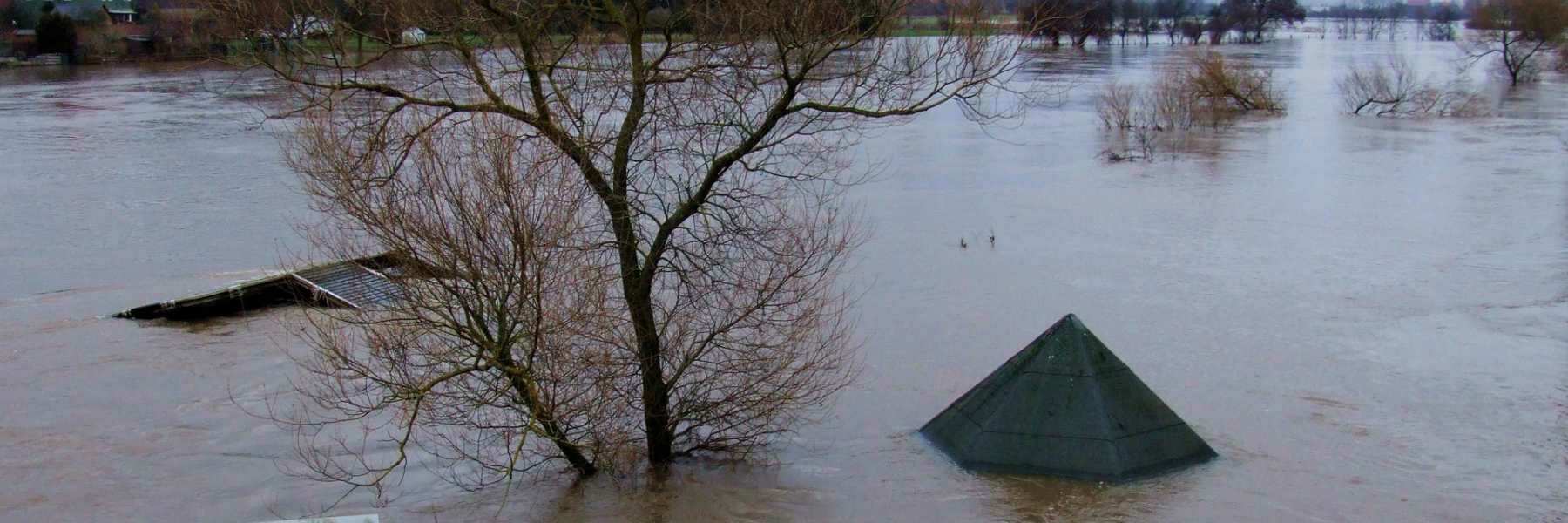 Bewässerungssysteme: Effiziente Wasserversorgung im Grow