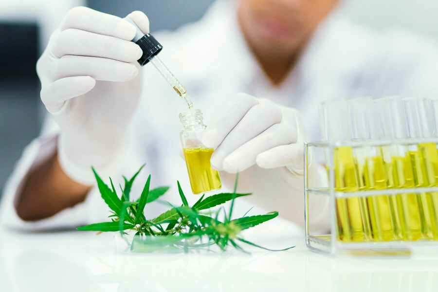 Cannabinoide in der Forschung