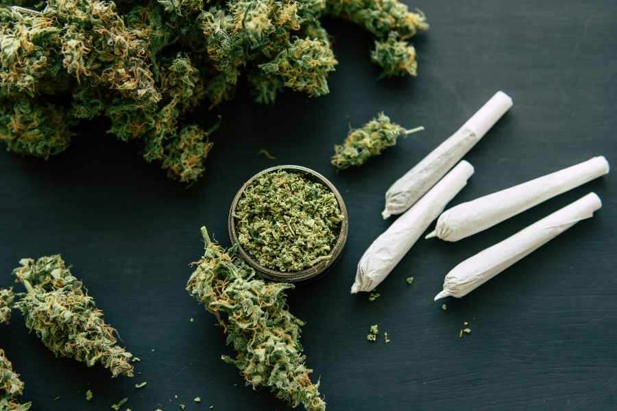 Medizinische Cannabisblüten mit CBD und THC