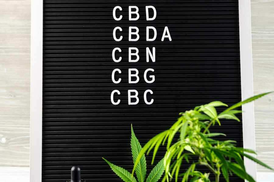 Cannabinoide: CBD, THC, CBN, THCA