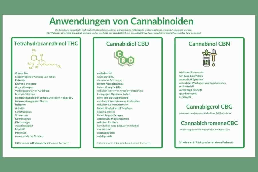 Anwendung von Cannabinoiden in der Medizin