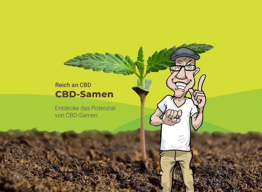 CBD Cannabis Samen kaufen