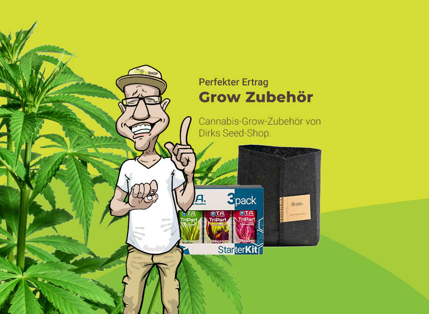 Growzubehör Grow kaufen