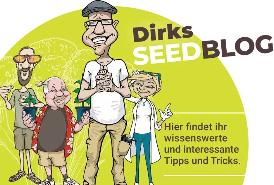 Dirks Seedblog für weitere Informationen