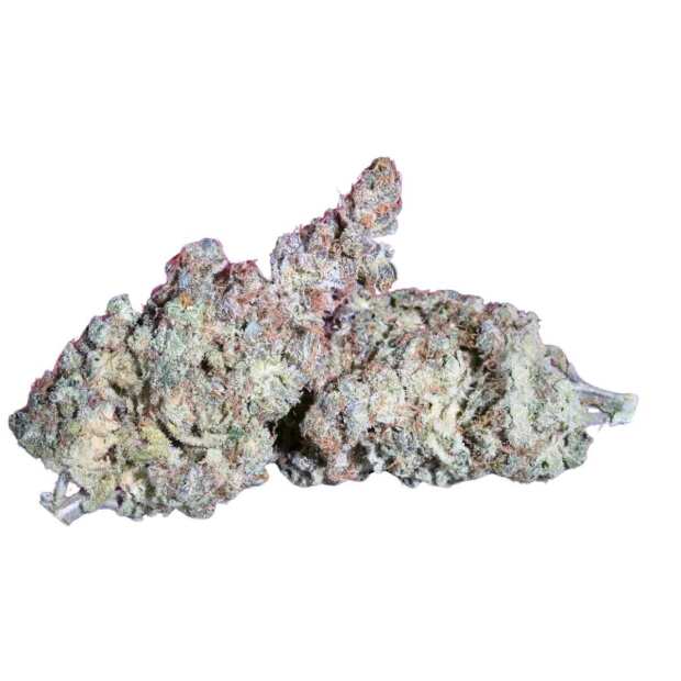 White Noise Feminisierte Cannabissamen von Paradise Seeds