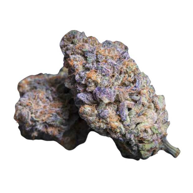 Paradise Seeds | Sweetopia