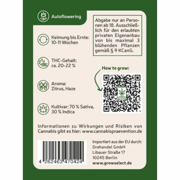 Amnesia | Automatik Cannabissamen von GrowSelect | 1 Hanfsamen