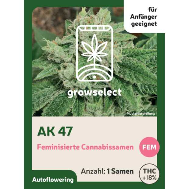 AK 47 | Automatik Cannabissamen von GrowSelect | 1 Hanfsamen