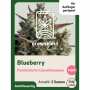 Blueberry | Automatik Cannabissamen von GrowSelect | 3 Hanfsamen