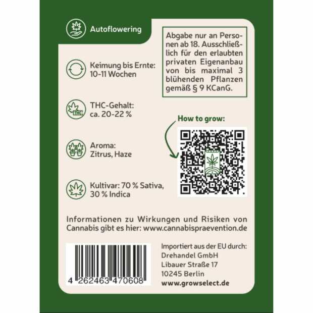 Amnesia | Automatik Cannabissamen von GrowSelect | 7 Hanfsamen