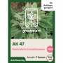 AK 47 | Automatik Cannabissamen von GrowSelect | 7 Hanfsamen