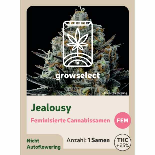 Jealousy | Feminisierte Cannabissamen von GrowSelect | 1 Hanfsamen