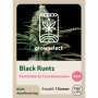 Black Runtz | Feminisierte Cannabissamen von GrowSelect | 1 Hanfsamen