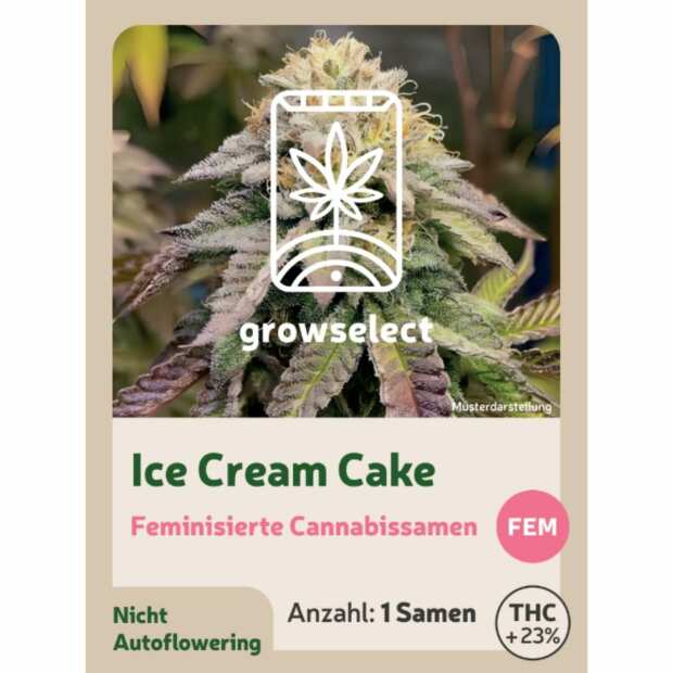 Ice Cream Cake | Feminisierte Cannabissamen von GrowSelect | 1 Hanfsamen