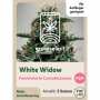 White Widow | Feminisierte Cannabissamen von GrowSelect | 3 Hanfsamen