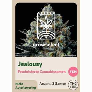 Jealousy | Feminisierte Cannabissamen von GrowSelect | 3...