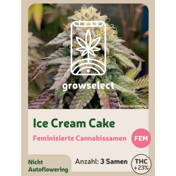 Ice Cream Cake | Feminisierte Cannabissamen von GrowSelect | 3 Hanfsamen