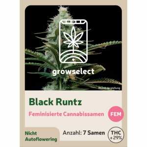Black Runtz | Feminisierte Cannabissamen von GrowSelect |...