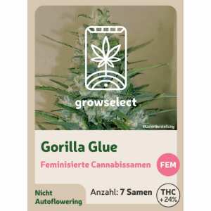 Gorilla Glue | Feminisierte Cannabissamen von GrowSelect...