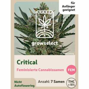 Critical | Feminisierte Cannabissamen von GrowSelect | 7...