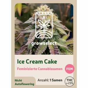 GrowSelect | Ice Cream Cake