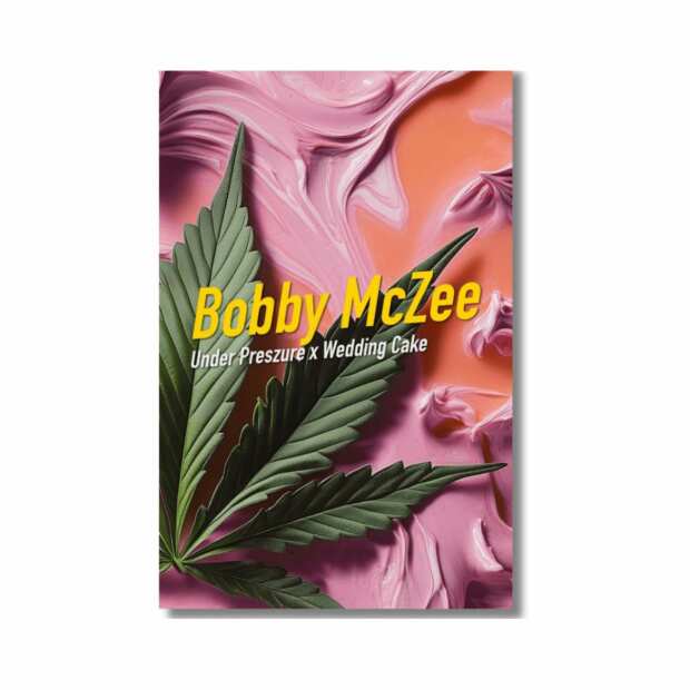 Bobby Mc Zee | Feminisierte Cannabissamen von Dope Seeds | 6 Hanfsamen