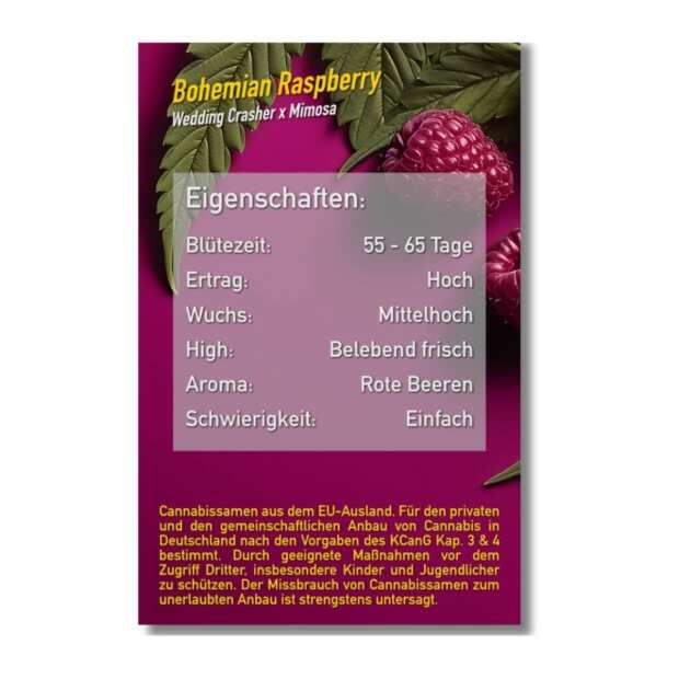 Bohemian Raspberry | Feminisierte Cannabissamen von Dope Seeds | 3 Hanfsamen