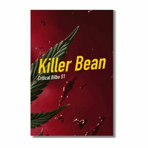 Killer Bean | Feminisierte Cannabissamen von Dope Seeds |...