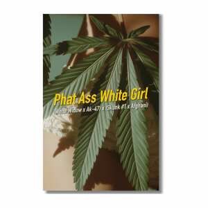 PAWG | Feminisierte Cannabissamen von Dope Seeds | 3...